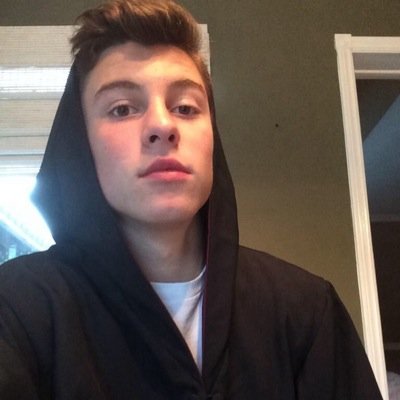 Follow @highoffthebiebs !! she will DM you to Cam or Nash if you ask!!