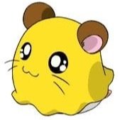 ﾋﾟ