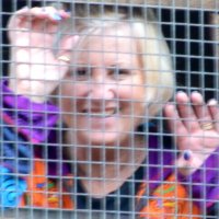 ELIZABETH-JANE TOWSE (@naniedonut) 's Twitter Profile