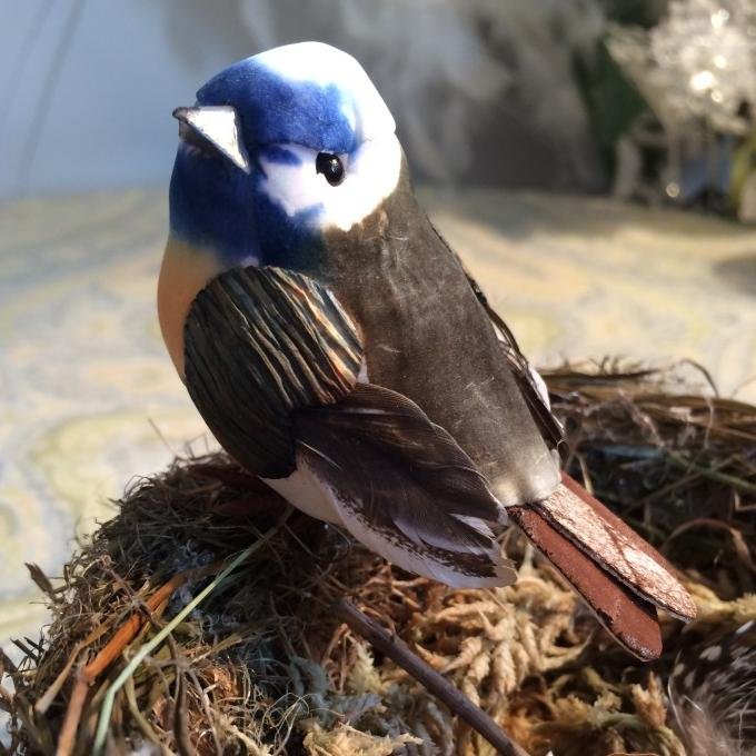 nestcreation's profile picture. By bird lovers for bird lovers. Hand made decorative bird nests created lovingly for home/garden décor, wedding's, craft projects, ring holders, bird fanatics.