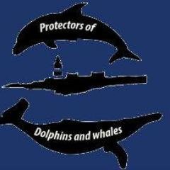 Time is spent Protecting the Dolphins and Whales that swim in our oceans. Founder of Protectors of Dolphin and Whales.