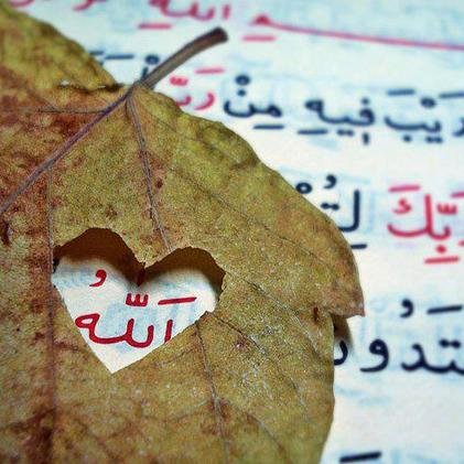 Sizden biri Layıkıyla Kul Olmak , Kur'an Ayetleri, Hadisler, İslam Alimlerinin Sözleri nin kalplerimize faydası olması dileğiyle. #islam #kuran #ayet #hadis