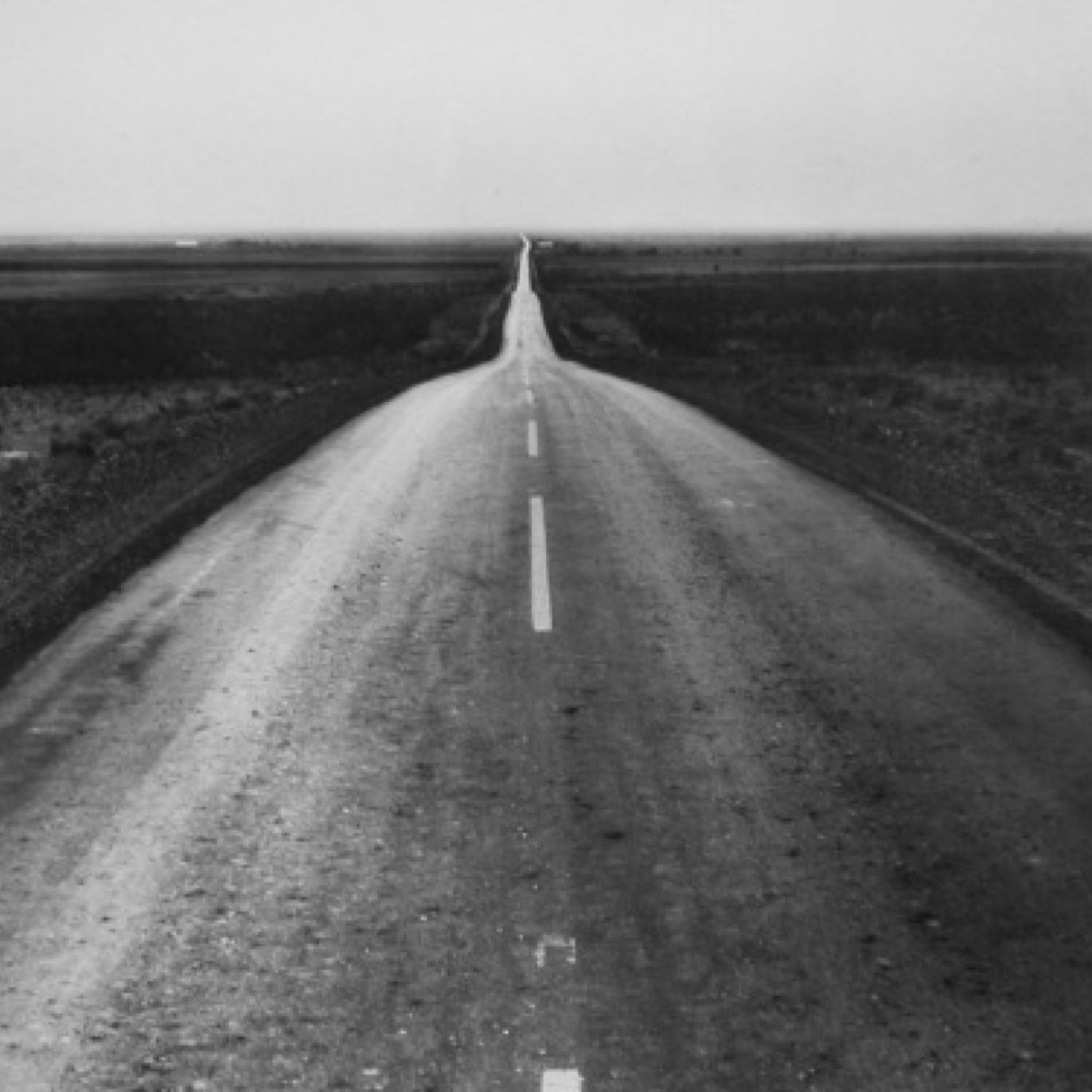the lonely bones
