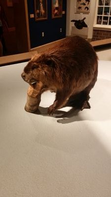 sushix8's profile picture. 