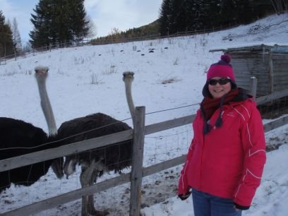 FionaEMWhyte's profile picture. Mechanical Building Services Engineer, Skier, Foodie