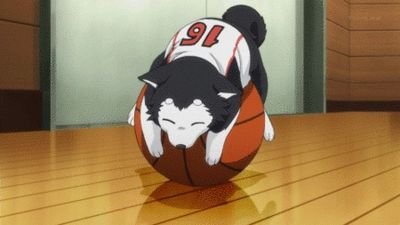 しばいぬ＆秋田犬大好き💕秋田犬を飼って40年→高齢の両親が散歩するには柴犬かと最後の秋田犬が🌈の後、現在のころ丸🐕やっぱり秋田犬も飼いたくなってます😂 １度の人生happyに! 保育現場21年→保育者養成16年。保育は未来の子どもたちの道を拓く専門職‼️🤩 趣味はフラメンコ💃