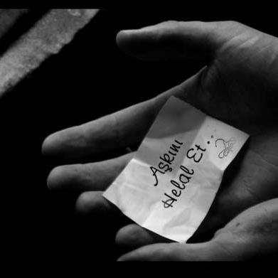 alicetiner43's profile picture. 