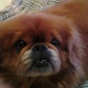 Sidney Manning - @manning_sidney - Twitter