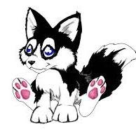 A:Female. White Wolf Pup Z:Female. Wolf X Husky pup K:Male. Husky pup All: Mother: @DandelionWolf Father: @Kaltag_SledDog Siblings: @3PupsNome