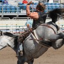 Colton Bailey  - @cfbbailey - Twitter