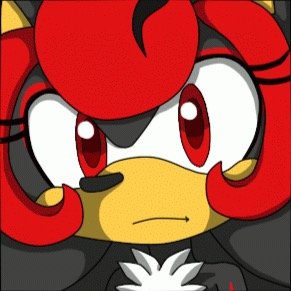 ProjectShade's profile picture. A processed transgenic hedgehog which has the same blood as shadow's. [RP]