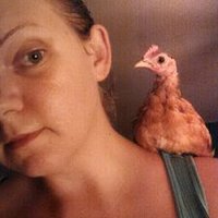 Virginia Ralston - @crittergrrl Twitter Profile Photo