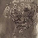 Amanda Race - @ihmi1 - Twitter