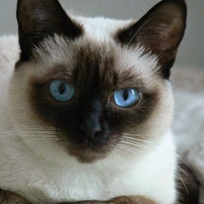 69gala69's profile picture. artista visual