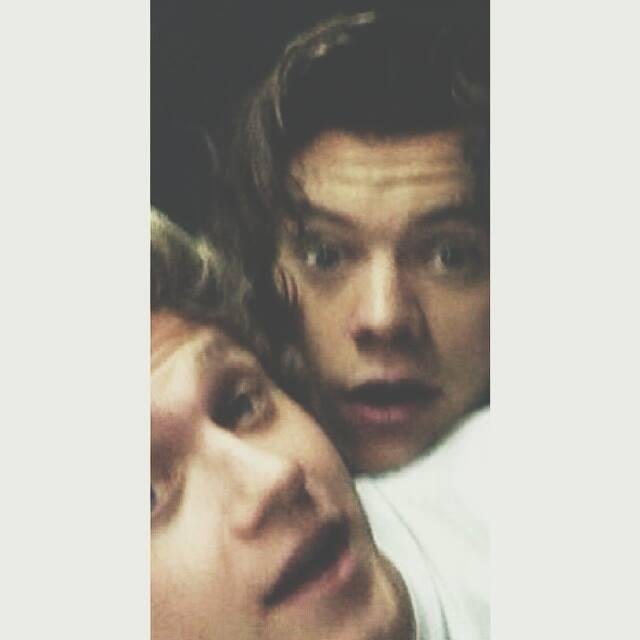 《 I’d do Niall.” -Harry Styles.- 》♡            Narry? Narry♡,- ¡ Narry&Ziam Bitch! ¿LARRY SHIPPER? NO, ANTI LARRY SHIPPER, OKEEEY?