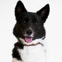 りな母 (@hiyakyon) 's Twitter Profile