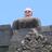RobWigle's profile image