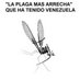 Mafafa Musguito (@mafafamusguito) Twitter profile photo Mafafa Musguito (@mafafamusguito) Twitter profile photo