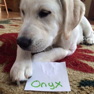 Names Bobby Jackson .. GT- Sobe Onyx . Leader Of Sobe Gaming .. Powerd By , @KontrolFreek ..