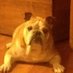 Bridget Magers (@bridgetmagers) Twitter profile photo Bridget Magers (@bridgetmagers) Twitter profile photo