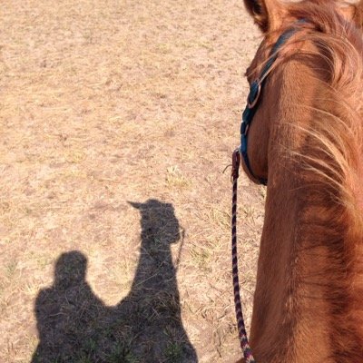 caseyjdolan's profile picture. 