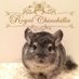 Royal ChinchillaïŒãã€ã€ã«ãã³ãã©ïŒ (@chinchillaroyal) Twitter profile photo Royal ChinchillaïŒãã€ã€ã«ãã³ãã©ïŒ (@chinchillaroyal) Twitter profile photo