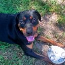 James Ewing - @jamesewing39 - Twitter