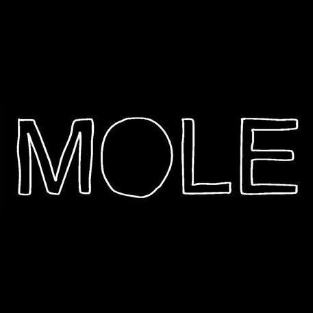 themolemedia's profile picture. 