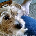 Scott Teague - @scott61t - Twitter