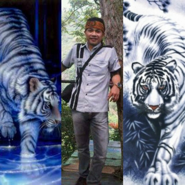 Tak ada kesempurnaan. Yang ada hanyalah kepuasan dengan apa yang ditawarkan oleh kehidupan..