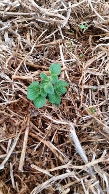 Environmental Science - Microbes, Soil, Water and everything in between. PhD @DCU. Academic @SAgE_UWA