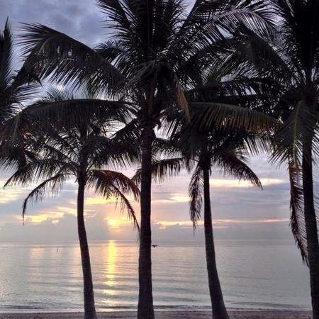 Welcome #SouthFlorida a NEW very affordable business listing / marketing platform! Don't Overpay and not get restults! Get your 1st month FREE! Stay Tuned!