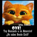 donald perez - @2222Donald - Twitter