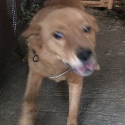 声のお仕事させて頂いております。やれることは何事も全力で!がモットーです!
絆/ポケモン/野球/総合格闘技/お茶/シャルロ党