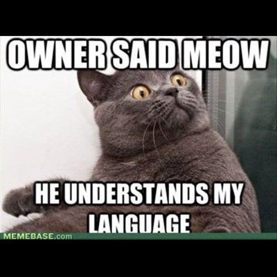 HugoRod52588673's profile picture. Minecraft is amaziiiiiinnnnnngggggg