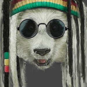 Whatever's on my mind • Rainbows • Silly • Concerts • Always laughing • @Cowboy_James is my baby • Panda Bears • Dreads • One Love • Equality