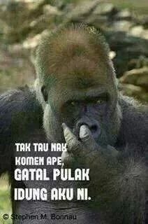 Jom korek hidung