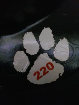 Firefighter 220