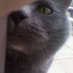 Debbie Scarlett (@debscar5) Twitter profile photo