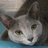 sp4947e9's profile image