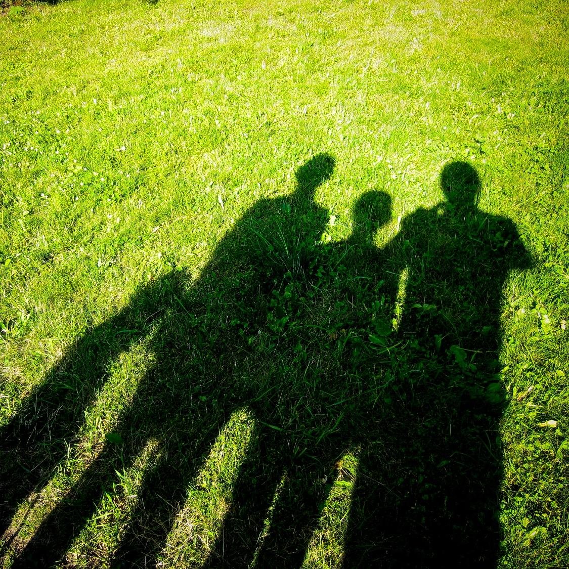 hippieyips's profile picture. Born and raised in the city, we are learning how to live a greener life in the city and would love to share what we learn along the way!