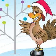 J_Liebisch's profile picture. 