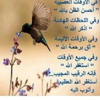 سيده أعمال (@k1_kayan) Twitter profile photo