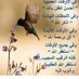 سيده أعمال (@k1_kayan) Twitter profile photo