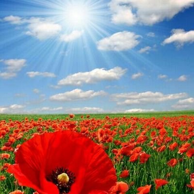 dimpleyadav010's profile picture. please join me....