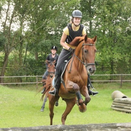 maaikeniks's profile picture. 