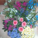 glory (@11glory11) Twitter