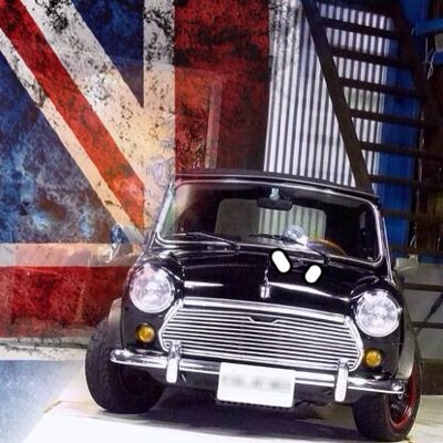 ’96ローバーミニ 楽しい！ バイク ホンダX4/エイプ100 /ミニカー/チョロQ/週刊GT-R作成中 To those who love a rover mini around the world in Japan