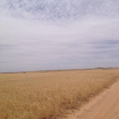 nadersaleeem999's profile picture. 