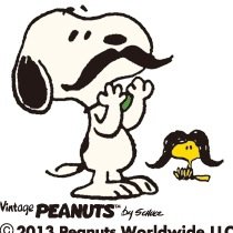 TeribouX's profile picture. 